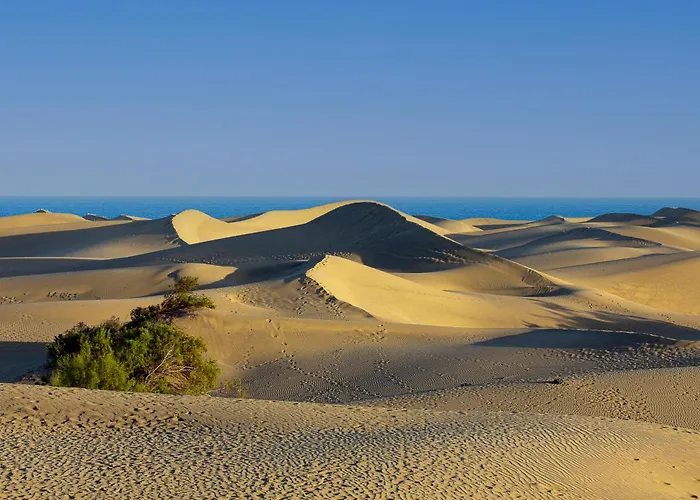 بيت للعطل Marbella Golf 85